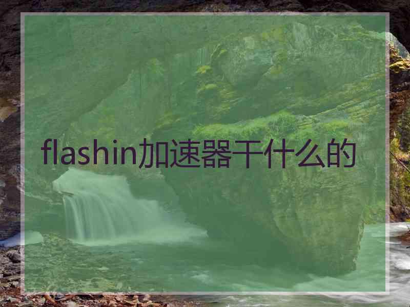flashin加速器干什么的