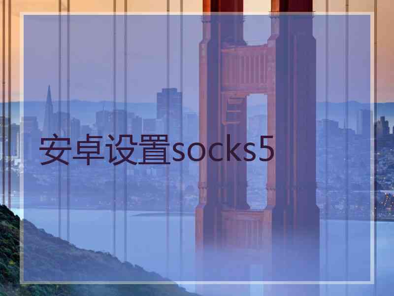 安卓设置socks5