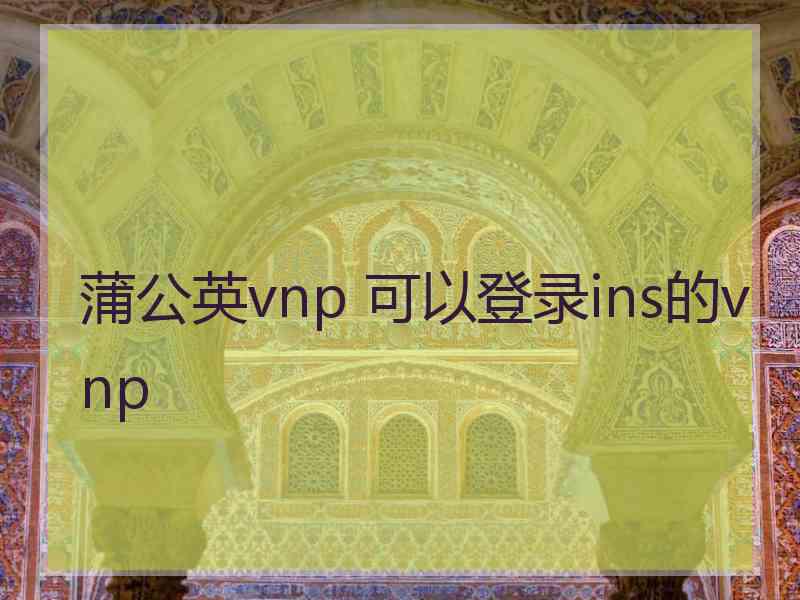蒲公英vnp 可以登录ins的vnp