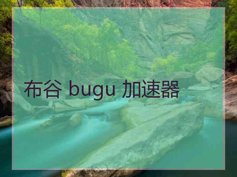 布谷 bugu 加速器