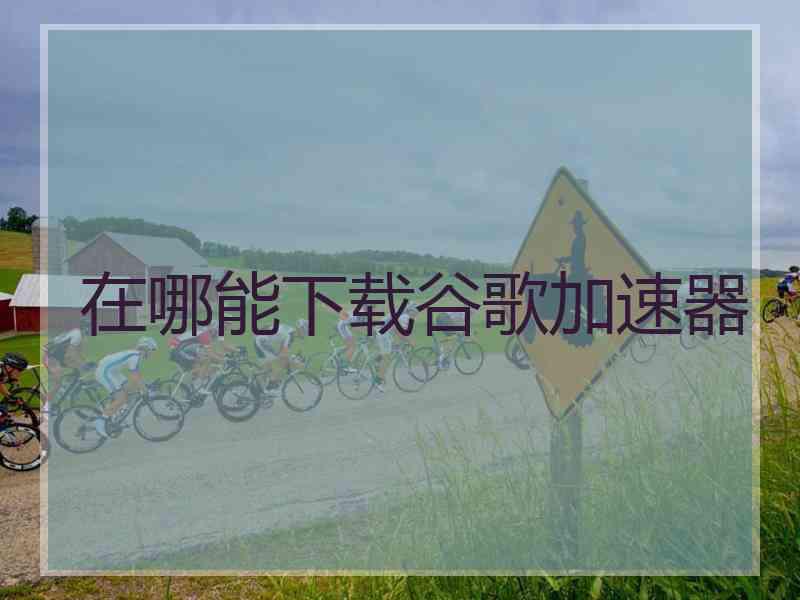 在哪能下载谷歌加速器