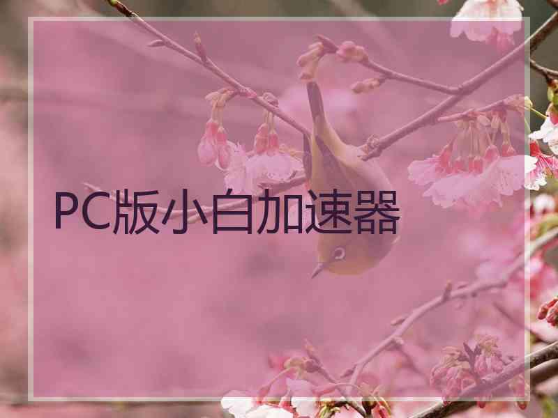 PC版小白加速器
