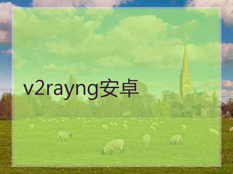 v2rayng安卓
