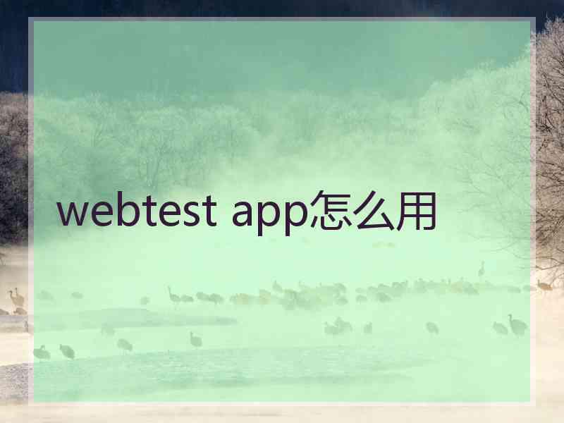 webtest app怎么用