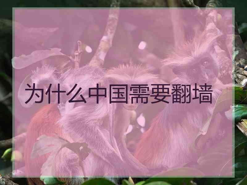 为什么中国需要翻墙