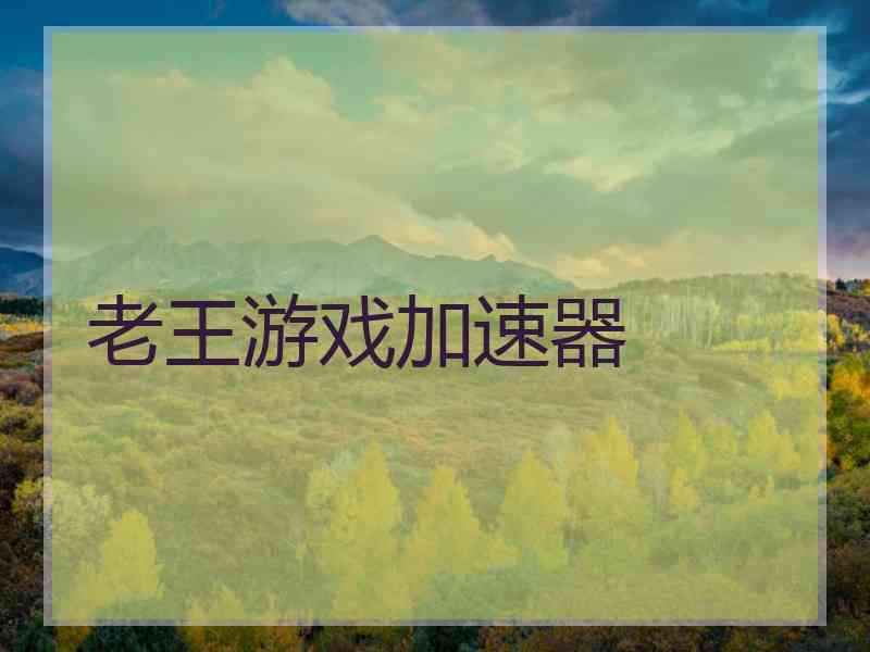 老王游戏加速器