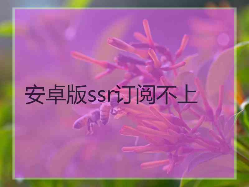安卓版ssr订阅不上