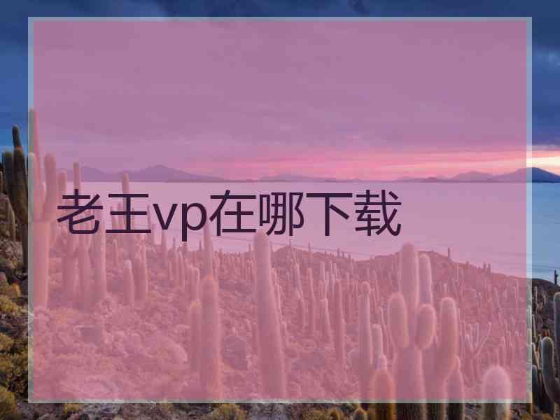 老王vp在哪下载