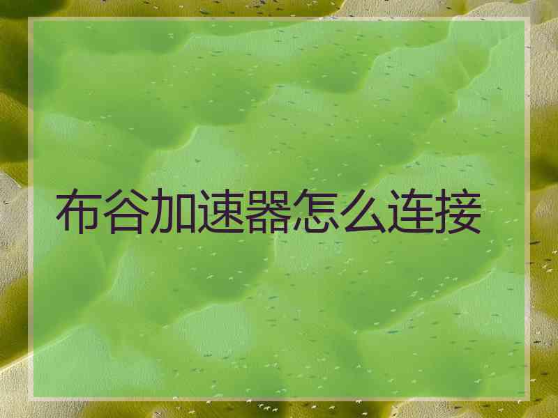 布谷加速器怎么连接