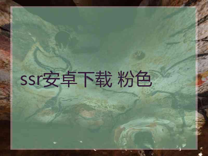 ssr安卓下载 粉色