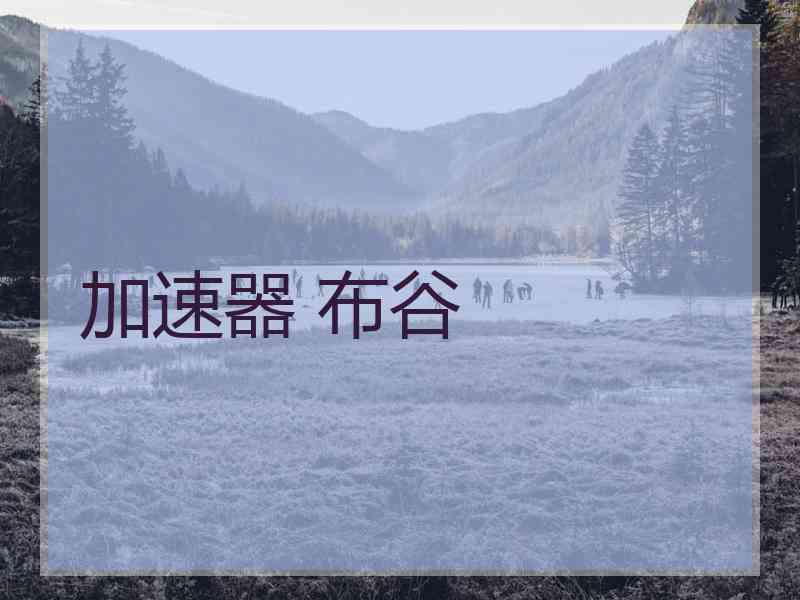 加速器 布谷