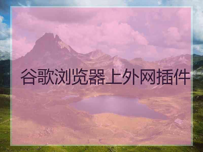 谷歌浏览器上外网插件