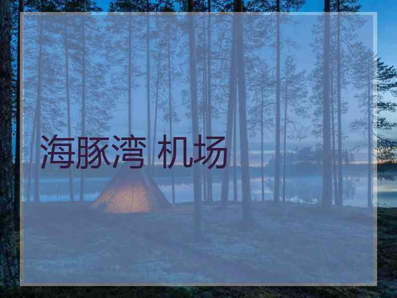 海豚湾 机场