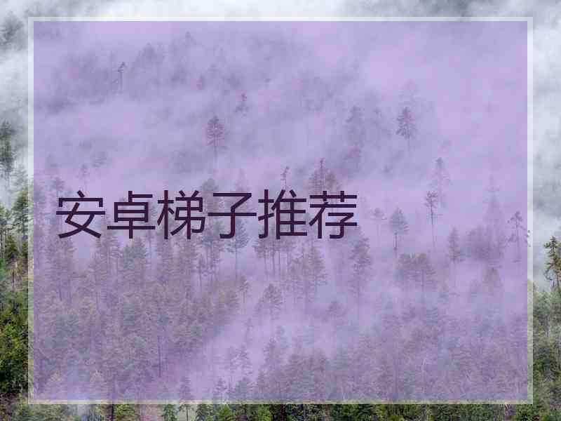 安卓梯子推荐
