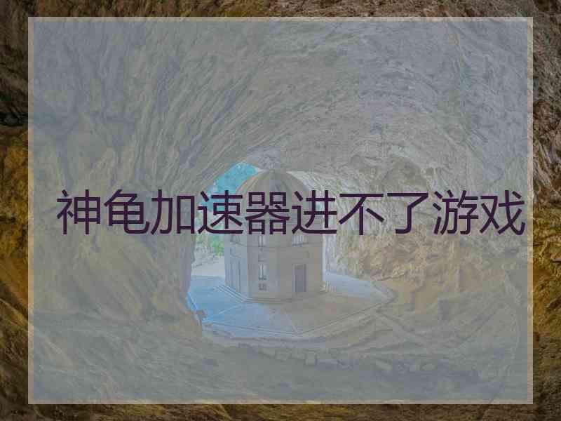 神龟加速器进不了游戏