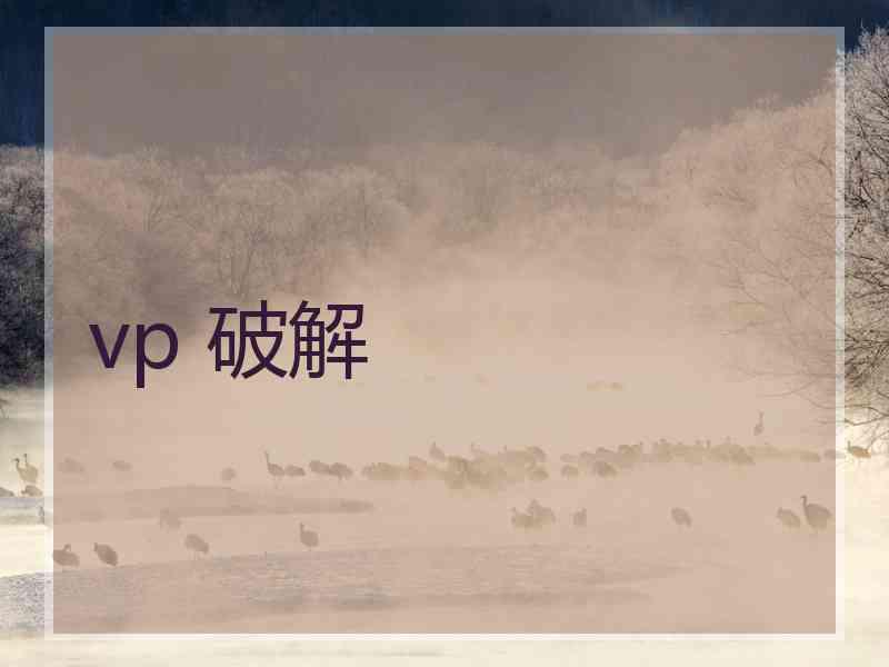 vp 破解