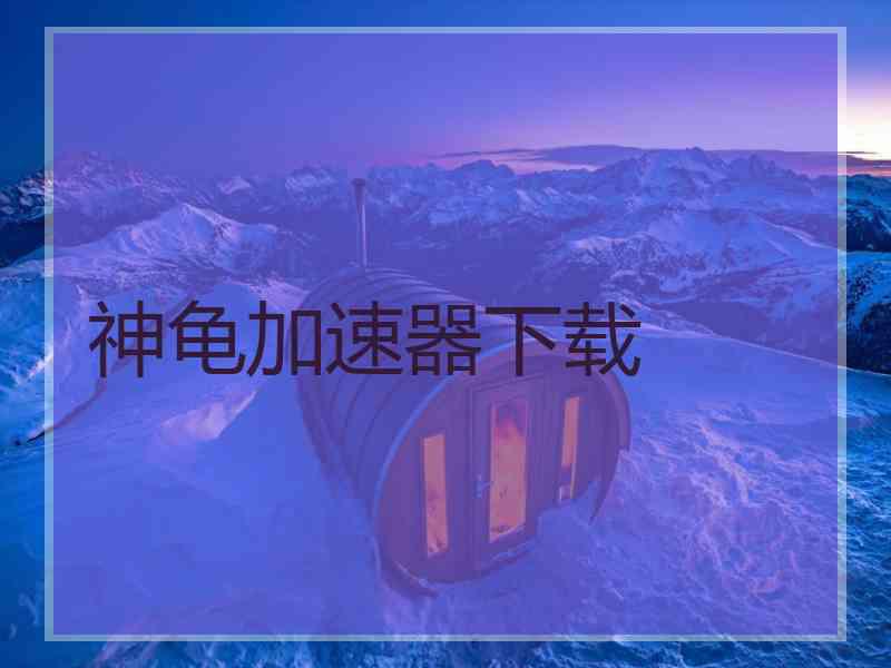 神龟加速器下载