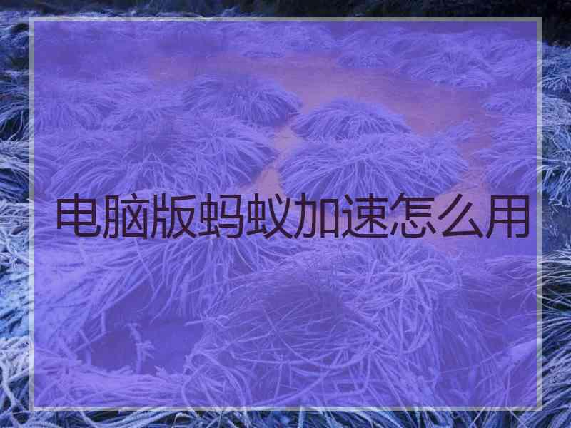 电脑版蚂蚁加速怎么用