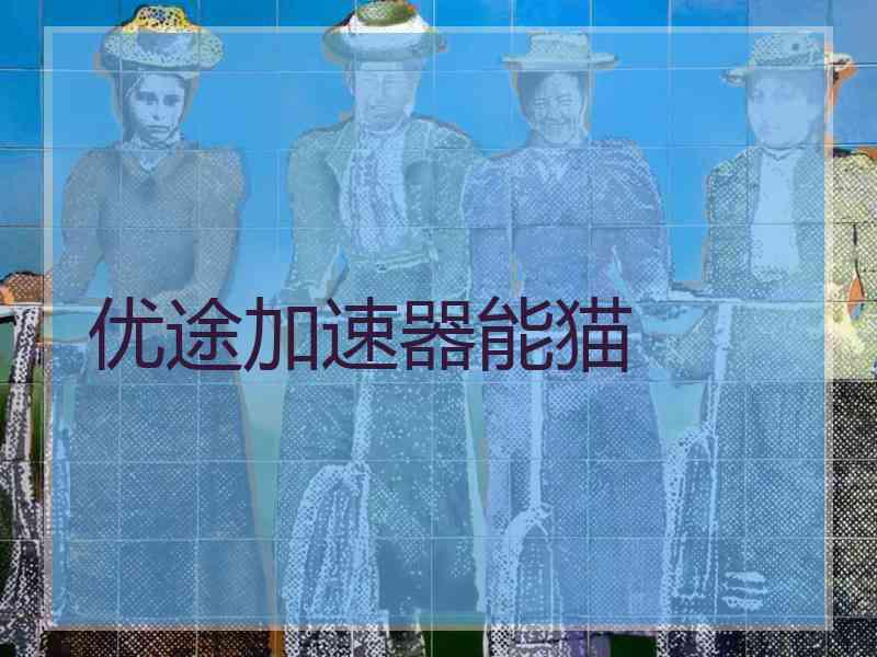 优途加速器能猫