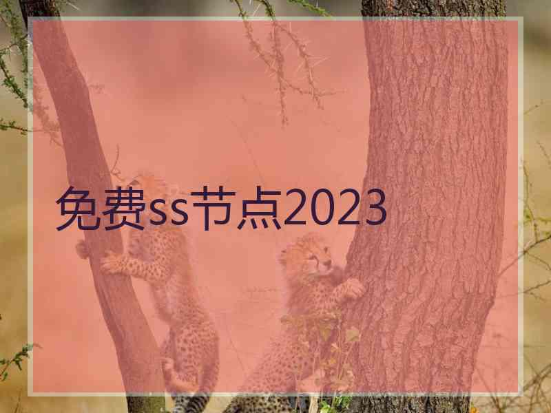 免费ss节点2023