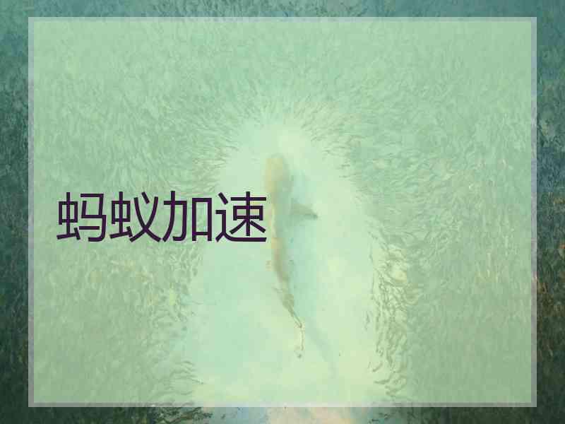 蚂蚁加速