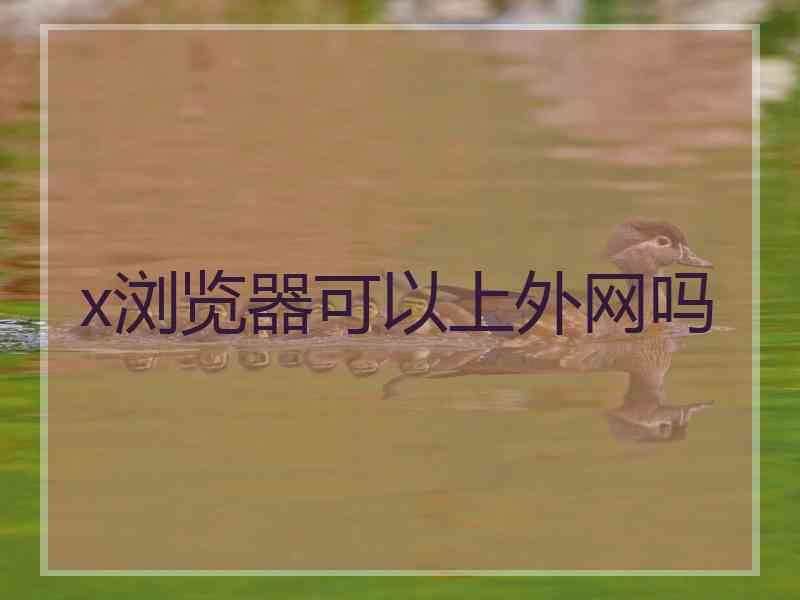 x浏览器可以上外网吗