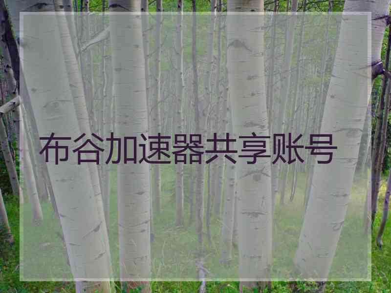 布谷加速器共享账号
