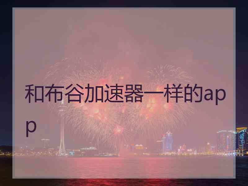 和布谷加速器一样的app