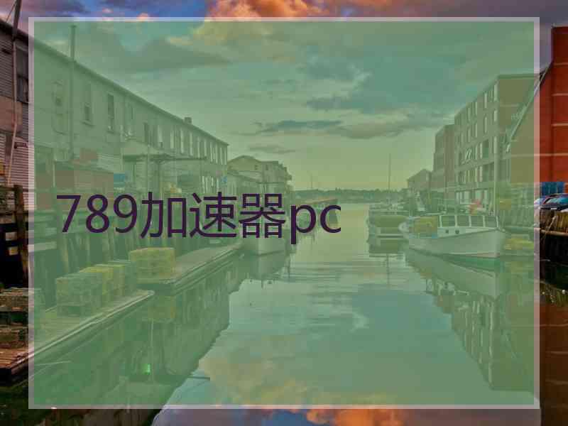 789加速器pc