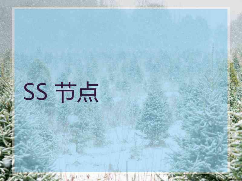 SS 节点