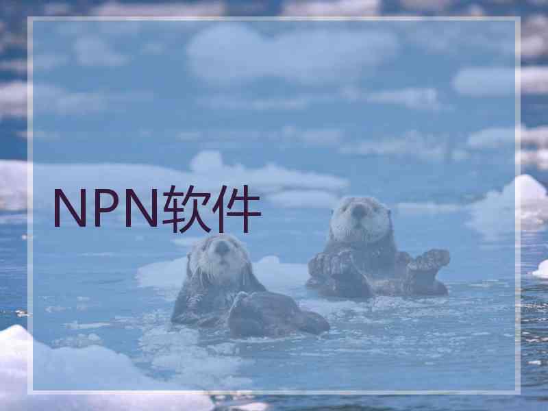 NPN软件