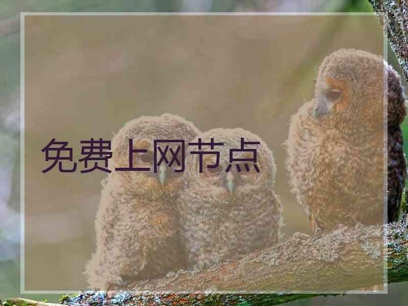 免费上网节点