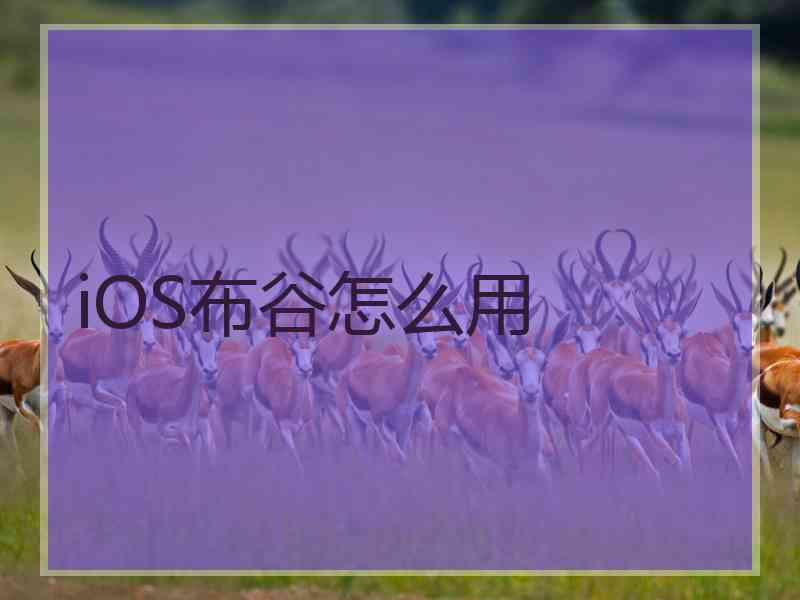 iOS布谷怎么用