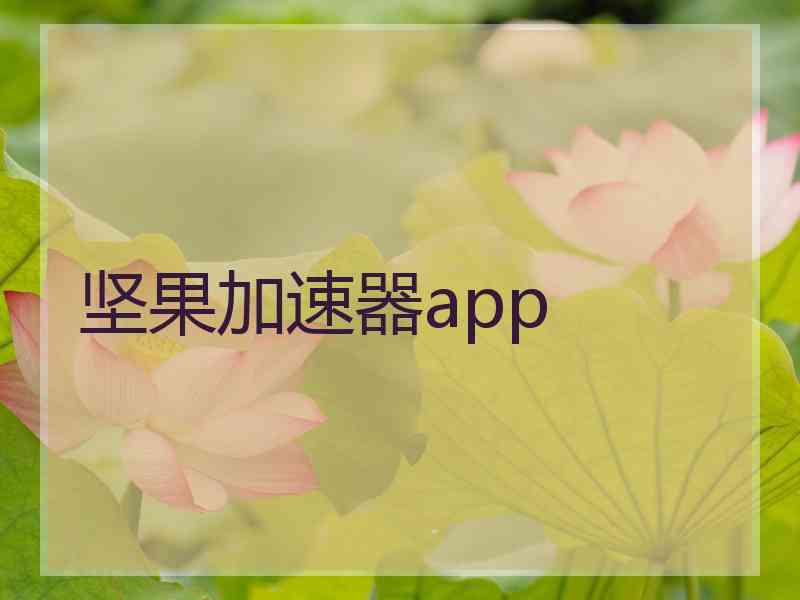 坚果加速器app
