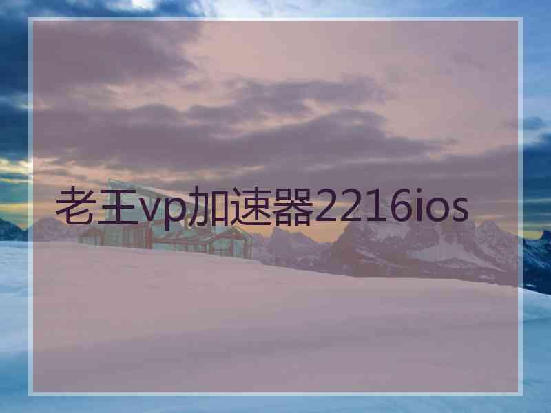 老王vp加速器2216ios