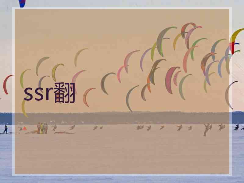 ssr翻