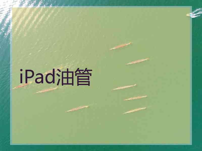 iPad油管