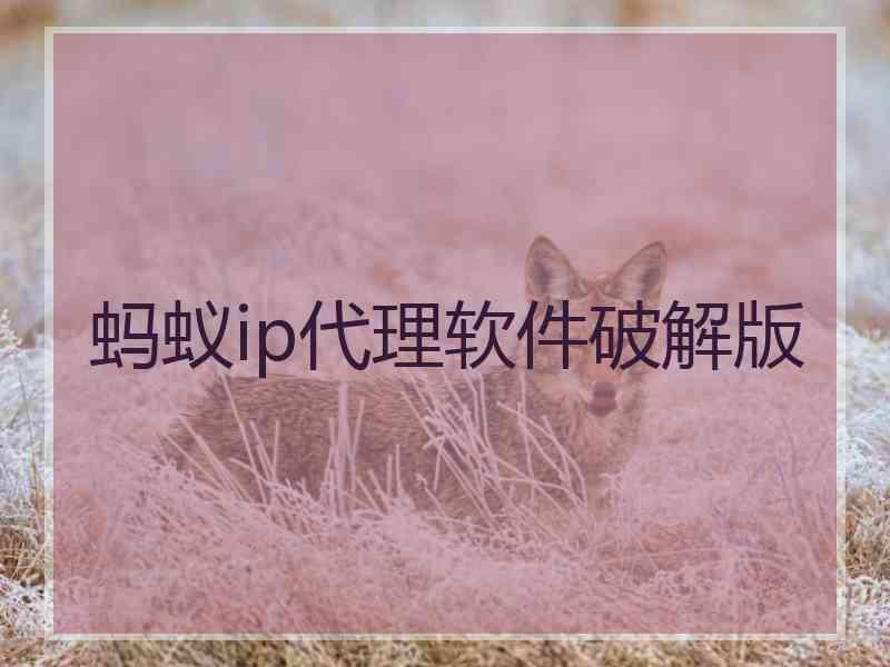 蚂蚁ip代理软件破解版