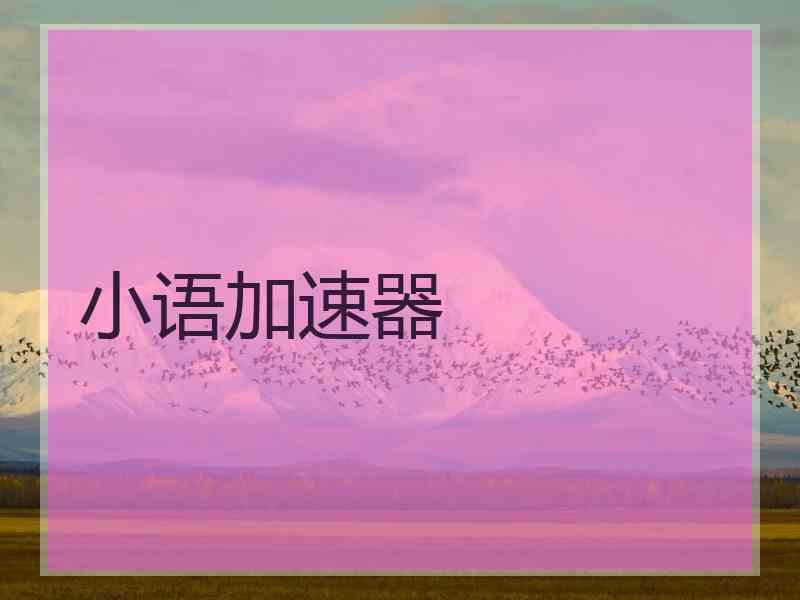 小语加速器