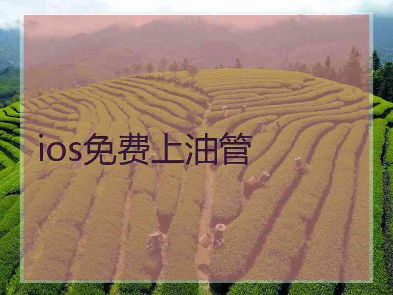 ios免费上油管