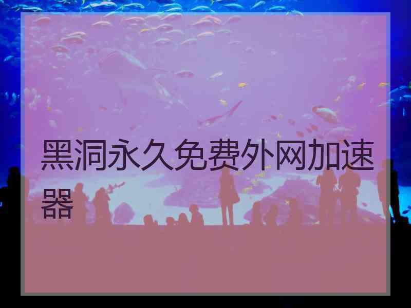 黑洞永久免费外网加速器