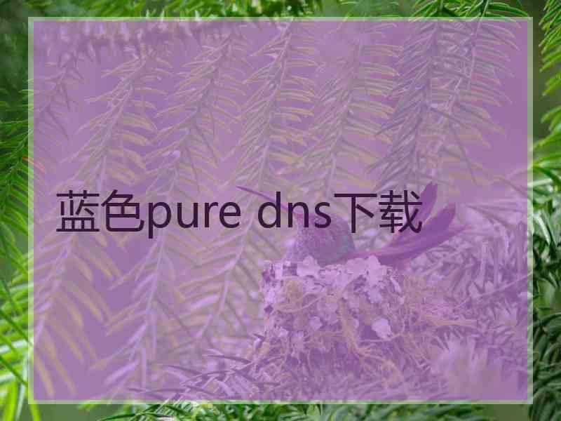 蓝色pure dns下载