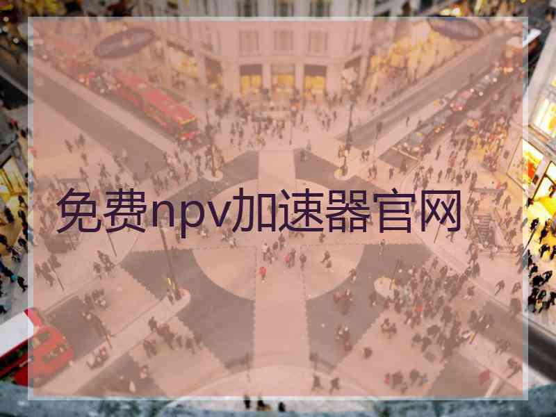 免费npv加速器官网
