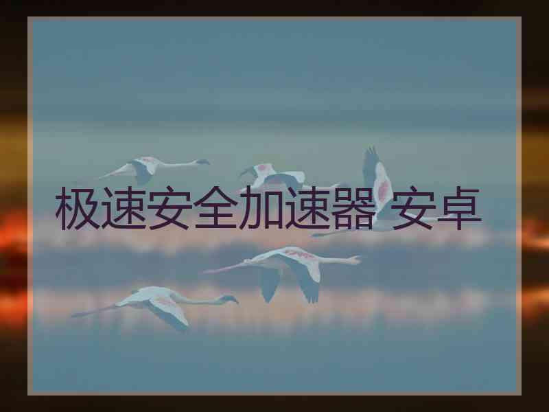 极速安全加速器 安卓