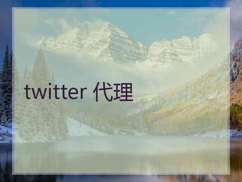 twitter 代理