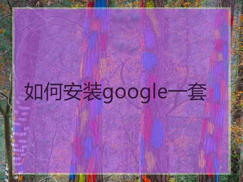 如何安装google一套