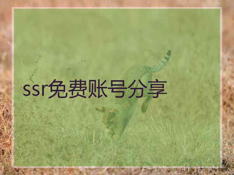 ssr免费账号分享