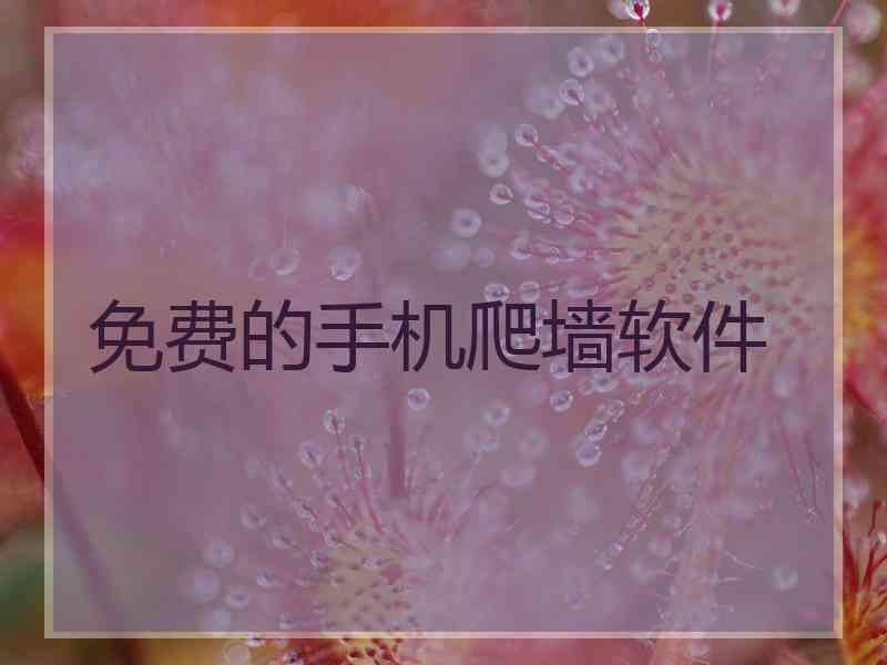 免费的手机爬墙软件