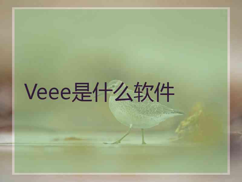 Veee是什么软件