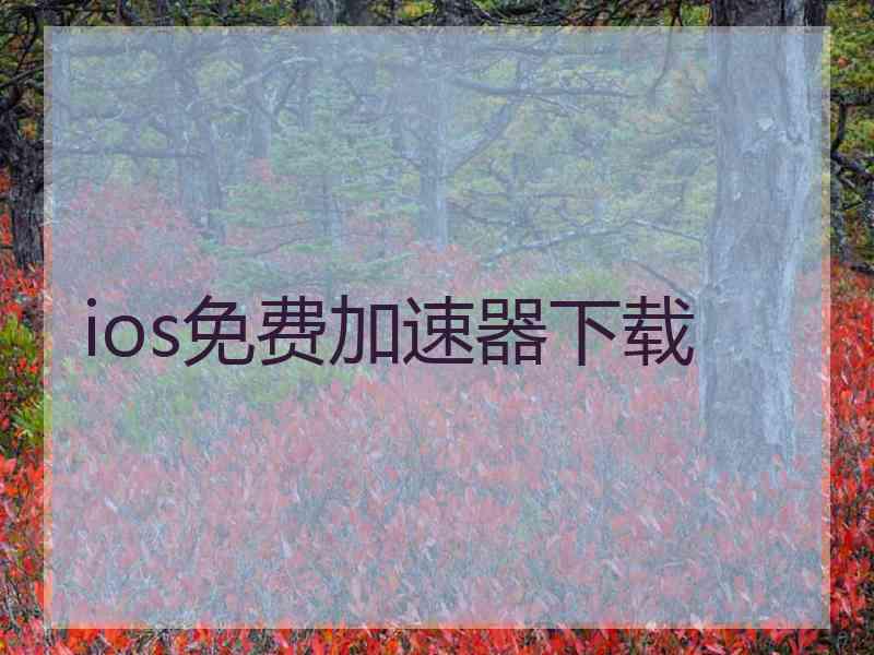 ios免费加速器下载